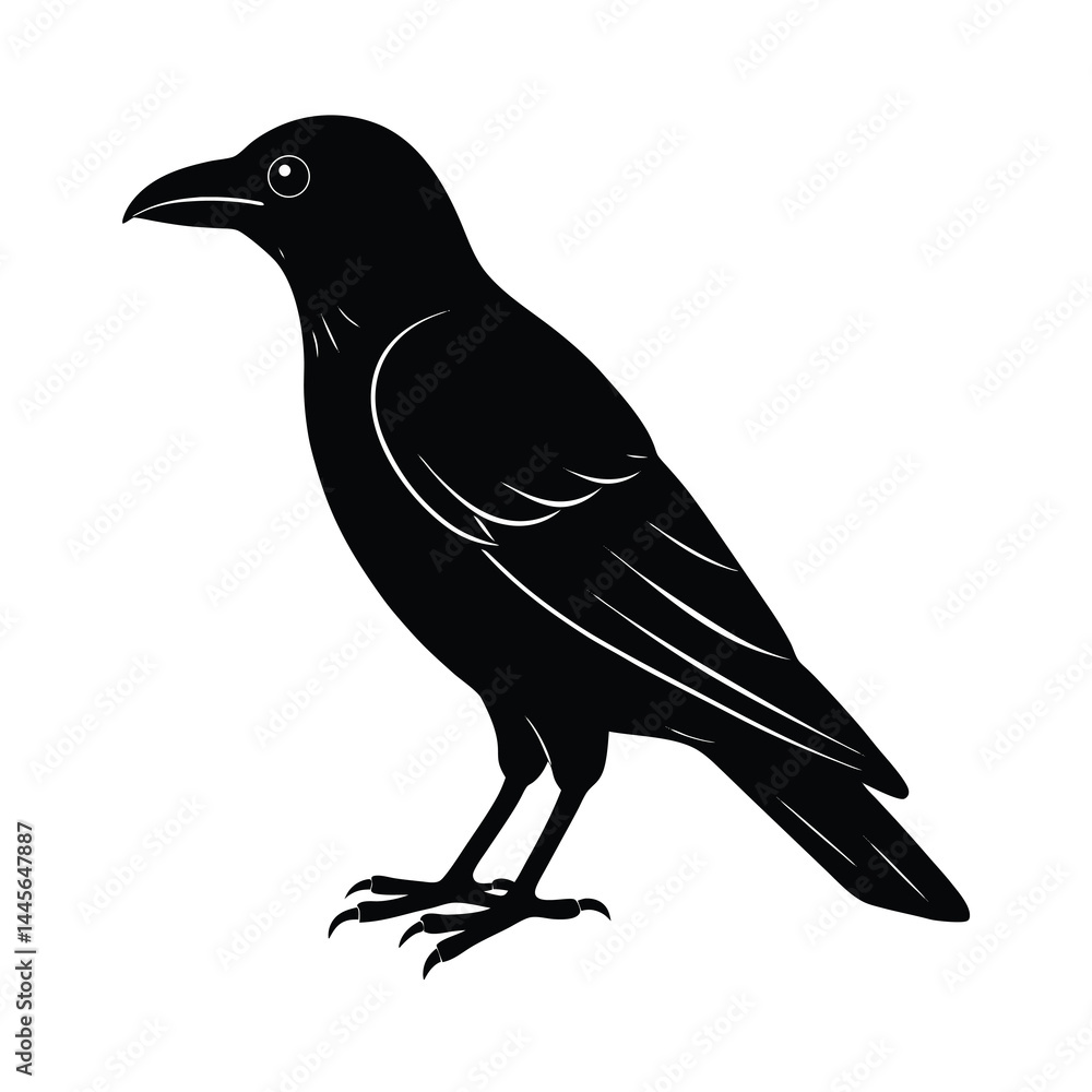 Obraz premium Crow Silhouette Bird Vector Icon Detailed and Sharp 8
