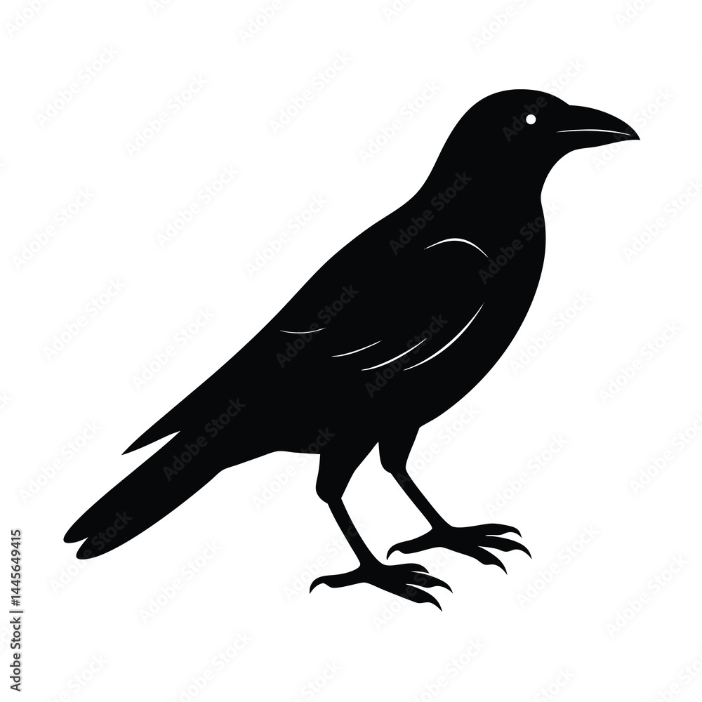 Fototapeta premium Crow Silhouette Bird Vector Icon Detailed and Sharp 14