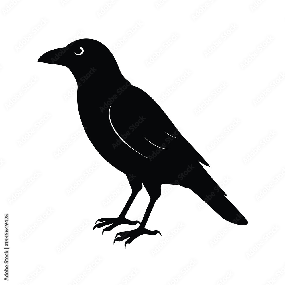 Crow Silhouette Bird Vector Icon Detailed and Sharp 10 Crow Silhouette Bird Vector Icon Detailed and Sharp 10