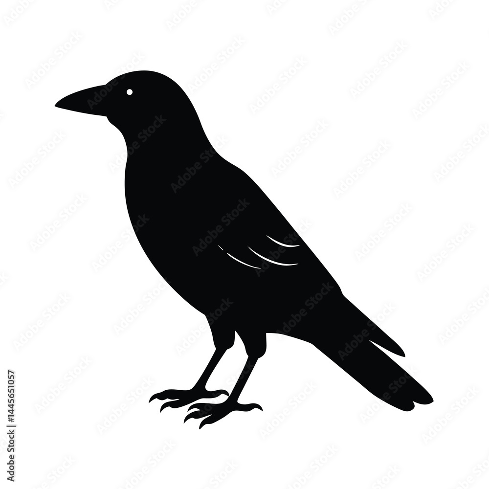 Fototapeta premium Crow Silhouette Bird Vector Icon Detailed and Sharp 5