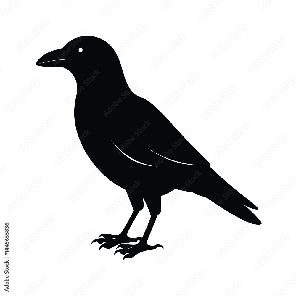 Fototapeta premium Crow Silhouette Bird Vector Icon Simple and Clean 5