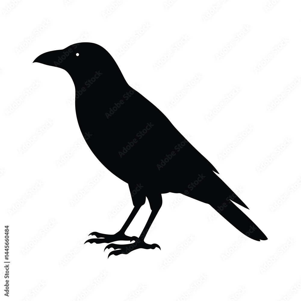 Fototapeta premium minimalistic crow silhouette vector simple and po design