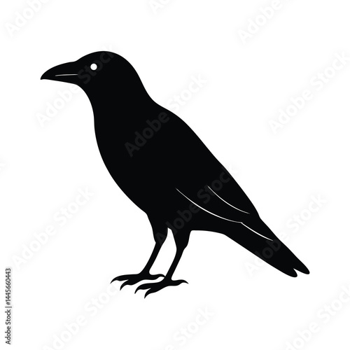 minimalistic crow silhouette vector illustration for design