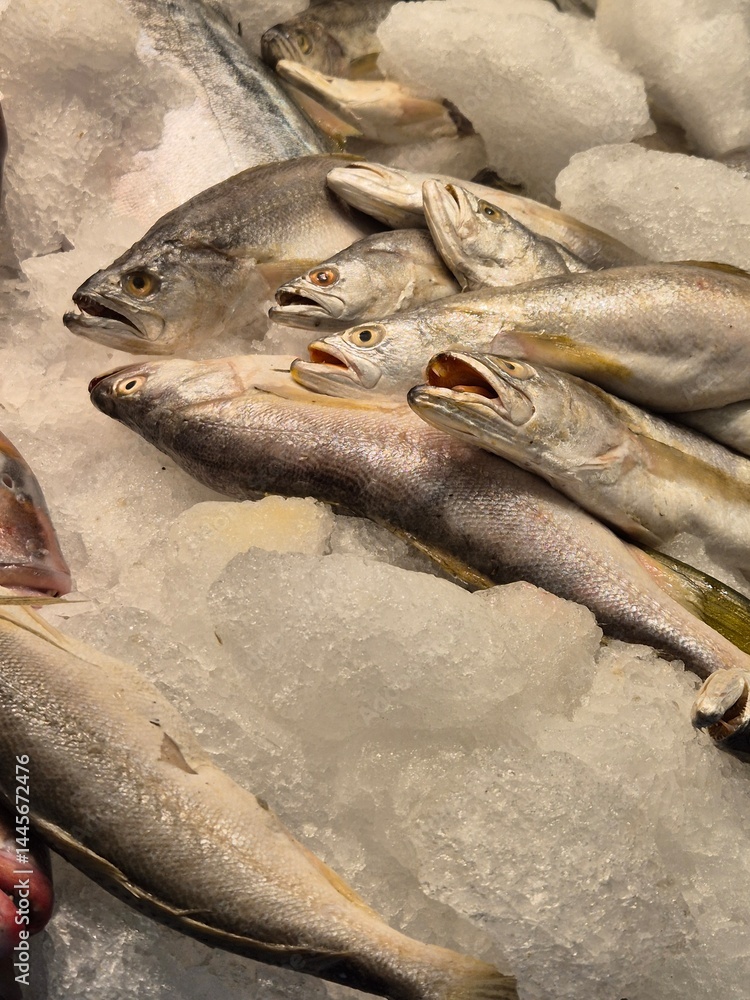 fish for sale in the supermarket