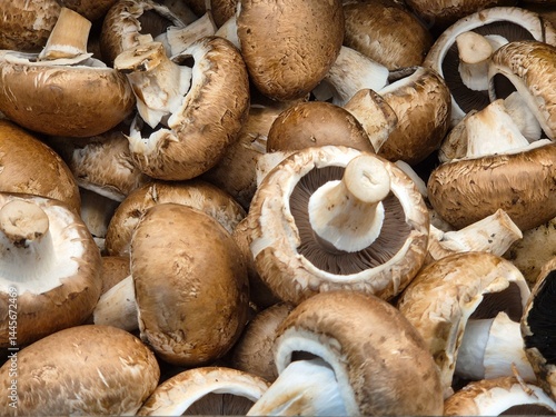 mushrooms for sale in the supermarket