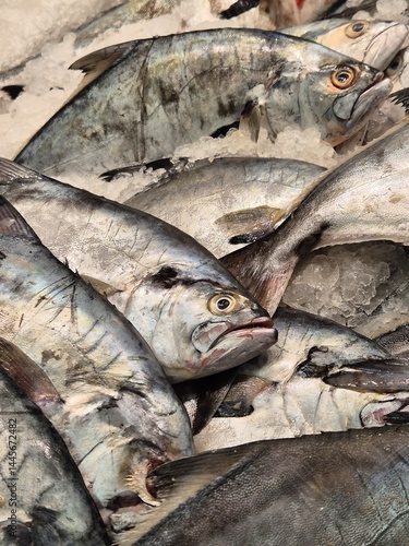 Obraz na płótnie fish for sale in the supermarket w salonie