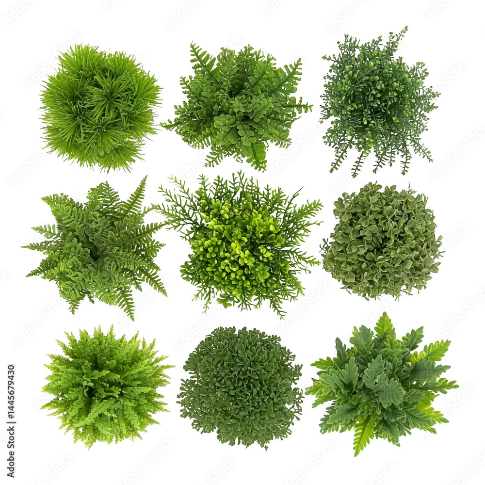Fototapeta premium Various types of lush green plants are arranged in grid pattern, showcasing different textures and leaf shapes. vibrant greenery creates fresh and natural aesthetic