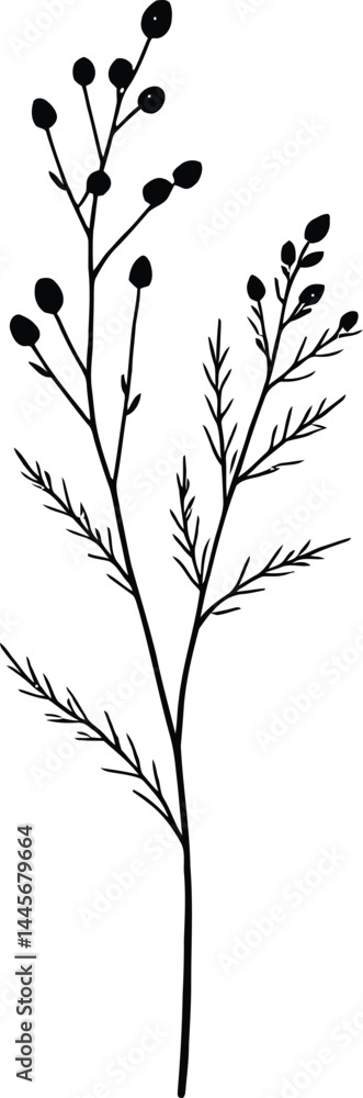 Fototapeta premium a small plant silhouette