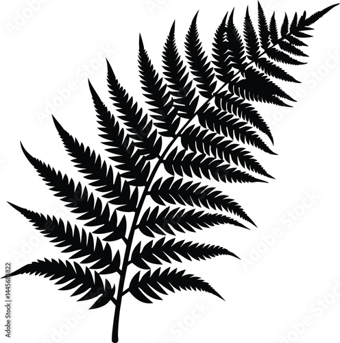 fern leaf silhouette vector, fern leaf icon clip art