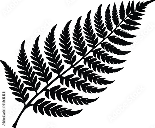 fern leaf silhouette vector, fern leaf icon clip art