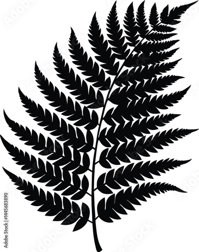 fern leaf silhouette vector, fern leaf icon clip art