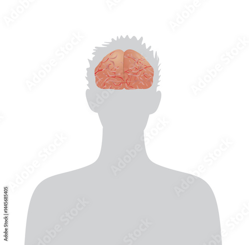 Brain  isolated on man. vector