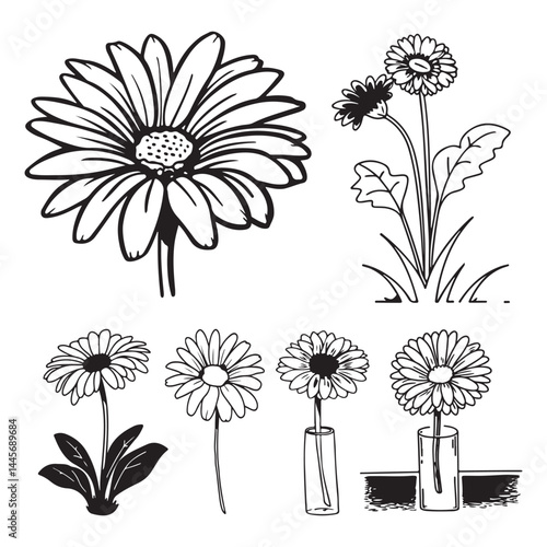 A line art flower daisy illustration 
