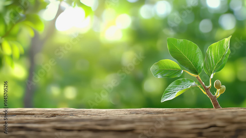 Wallpaper Mural Inspirational image of a green plant growing vigorously from a tree trunk symbolizing resilience and inspired imagination Torontodigital.ca