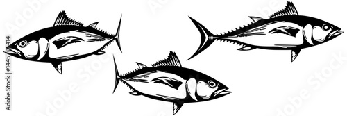 vector illustration of fish for a world tuna day