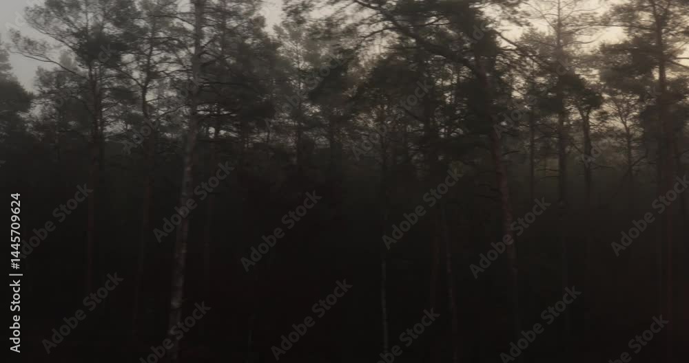 Train journey window view misty foggy autumn trees Train journey window view misty foggy autumn trees