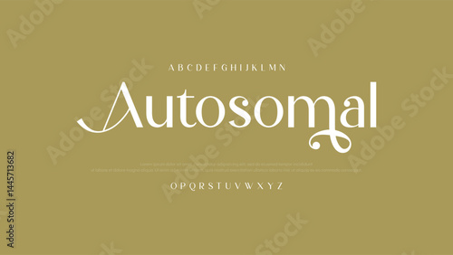 Lettering Minimalist Fashion. Elegant alphabet letters serif font and number. Typography fonts regular uppercase, lowercase.
