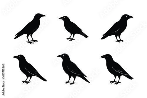 Abstract Black Crow Silhouette Vector Illustration