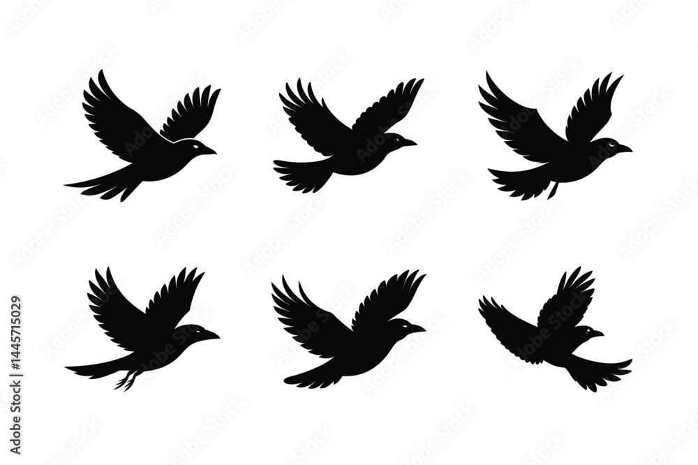 Fototapeta premium Black Bird Flying Silhouette Vector Illustration