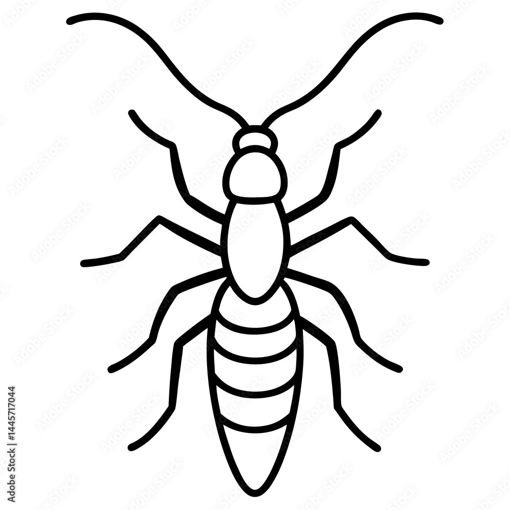 Fototapeta premium Minimal Earwig Outline Artwork