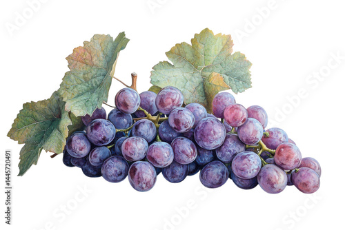 Lush red grapes with vibrant green leaves a still life photo with soft lighting and a neutral