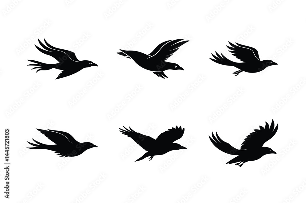 Fototapeta premium Flight Path Crow Silhouette