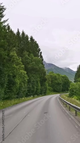 Vertical view of Norway road from car