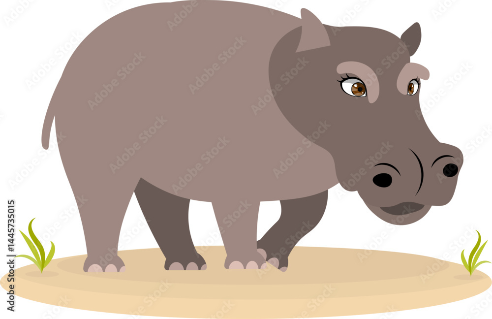 Fototapeta premium Cute zoo. Vector animals. Serious hippopotamus. Vector collection of animals. Isolated