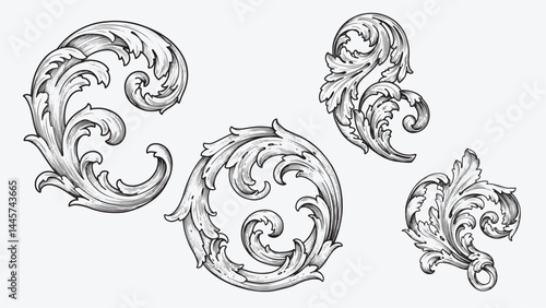 Baroque acanthus leaf engraving style