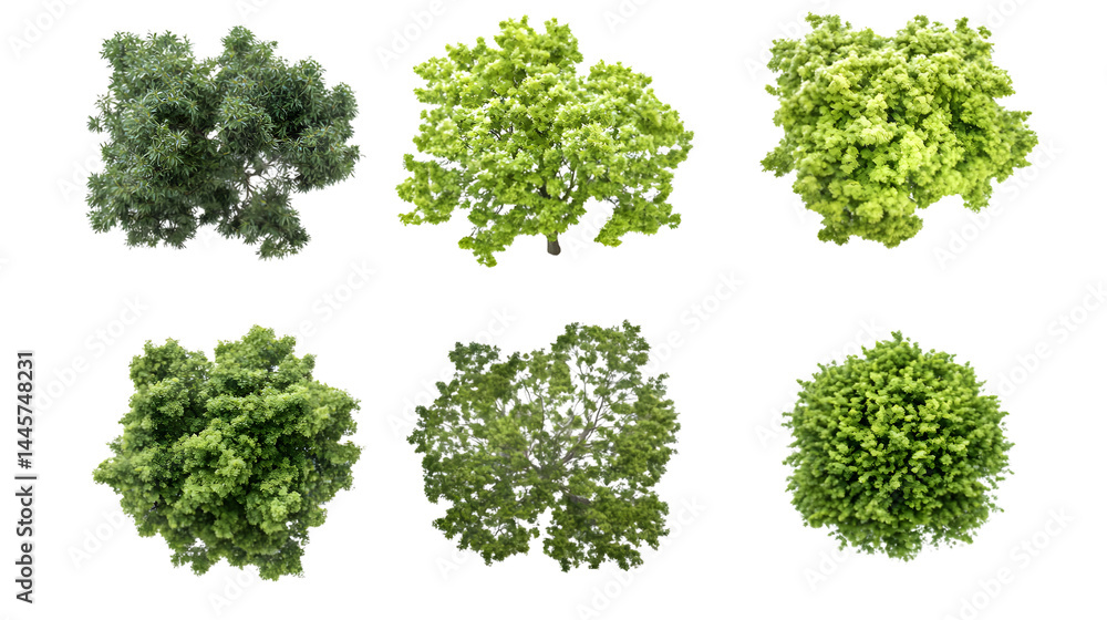 Aerial View of Eight Green Trees with Leaves Aerial View of Eight Green Trees with Leaves