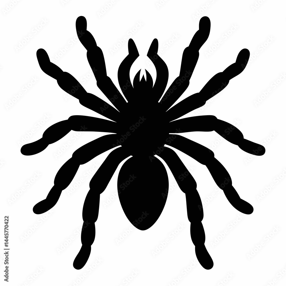 Bold Tarantula Silhouette Vector Art Bold Tarantula Silhouette Vector Art