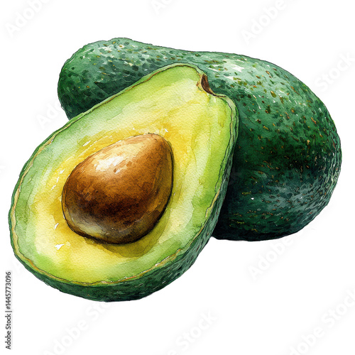 Watercolor Painting of Ripe Avocados Halved and Whole Fresh Produce Healthy Food Illustration