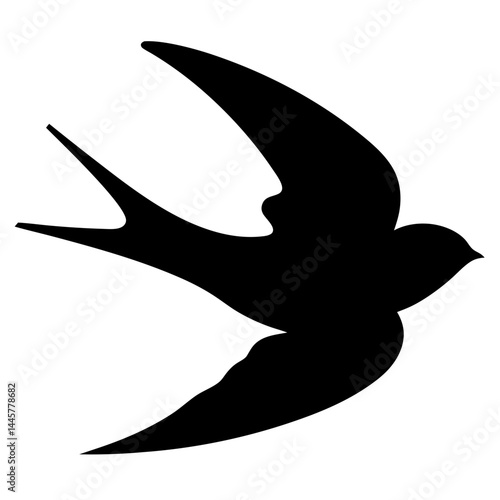 Silhouette of a swallow in flight with outstretched wings on white background