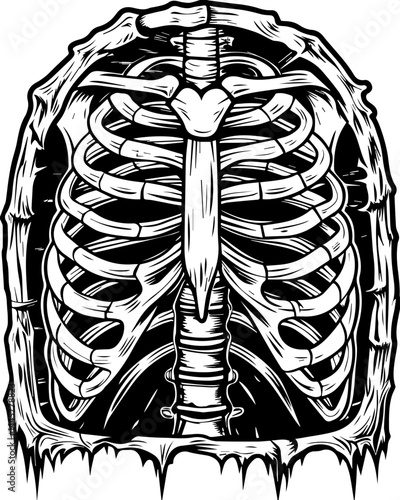 Haunting dark fantasy skull fillers in SVG vector style. Anatomical Illustration of Human Ribcage and Sternum Structure
