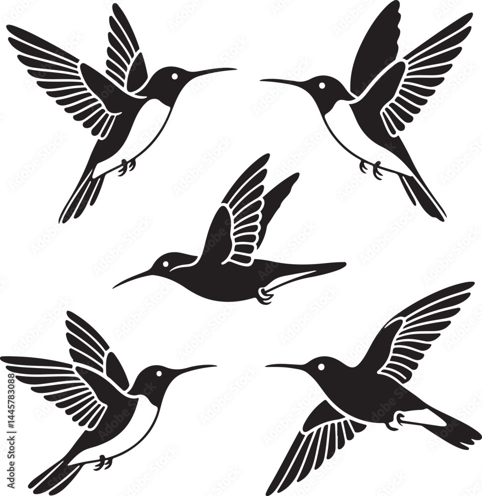 Obraz premium Set of humming bird silhouette vector illustration