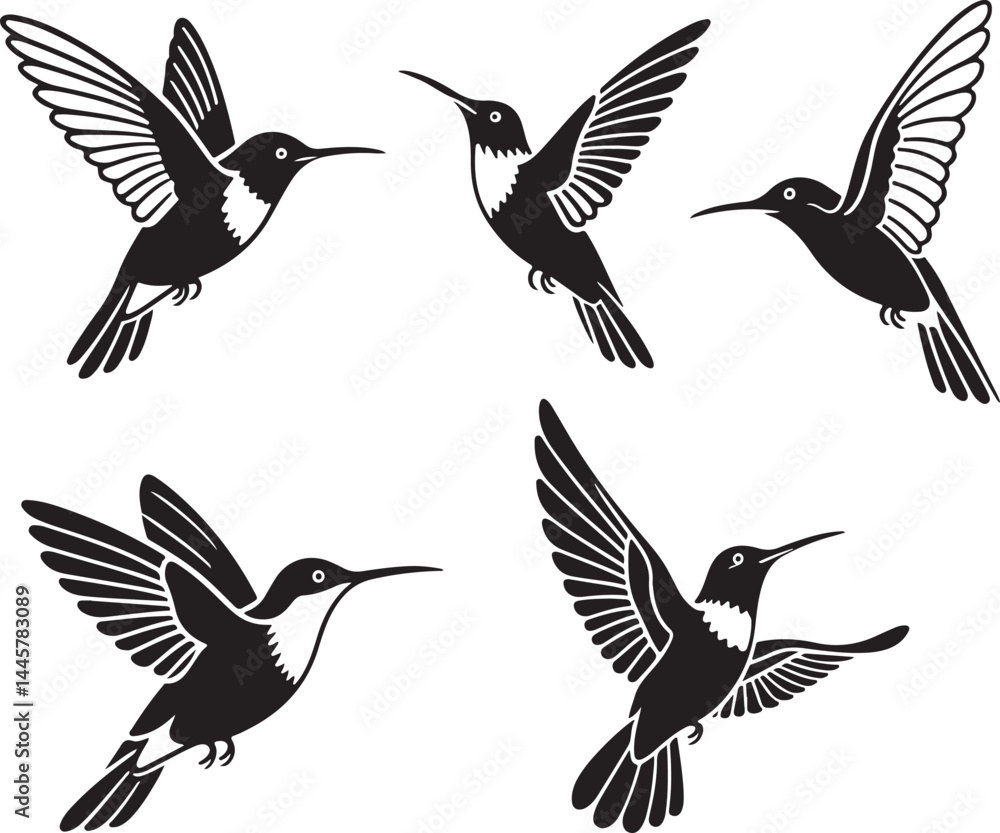 Fototapeta premium Set of humming bird silhouette vector illustration