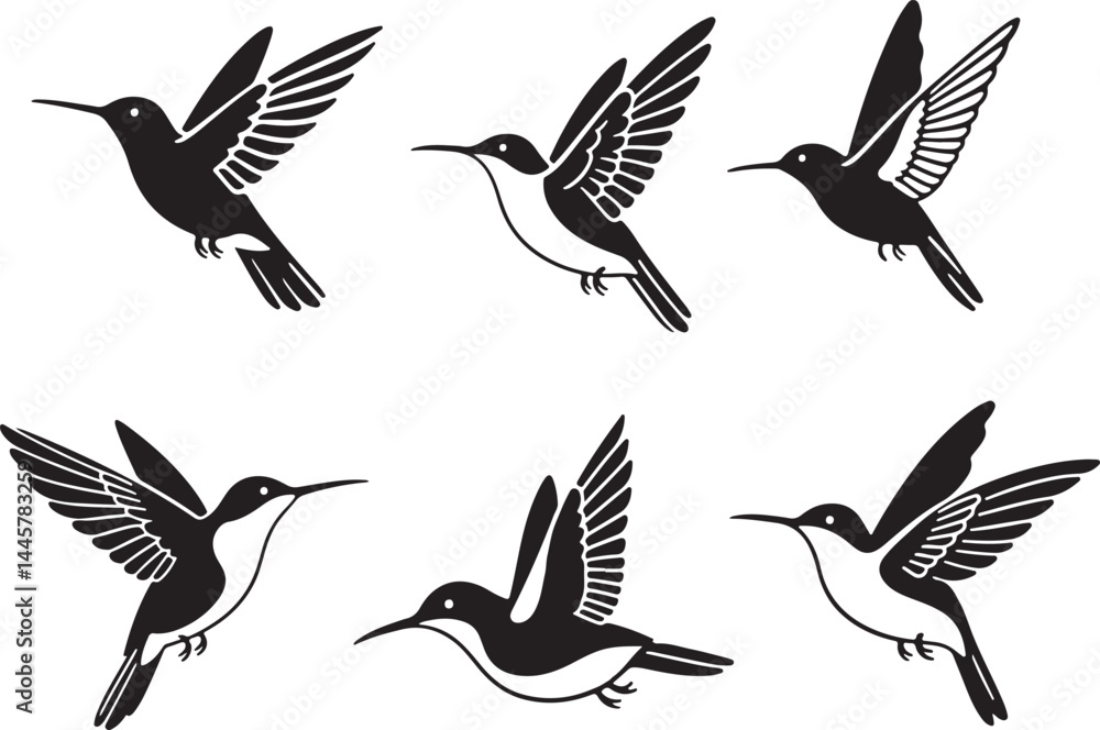 Fototapeta premium Set of humming bird silhouette vector illustration