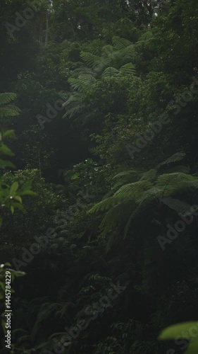 Roca cubierta de hojas en la selva cerca de cascada a cámara lenta. Bali, Indonesia, Sekumpul con lluvia de la cascada