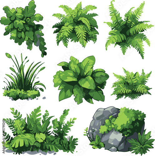 Collection of detailed 2D cartoon ferns and foliage, showcasing various green plants and natural elements in a vibrant arrangement