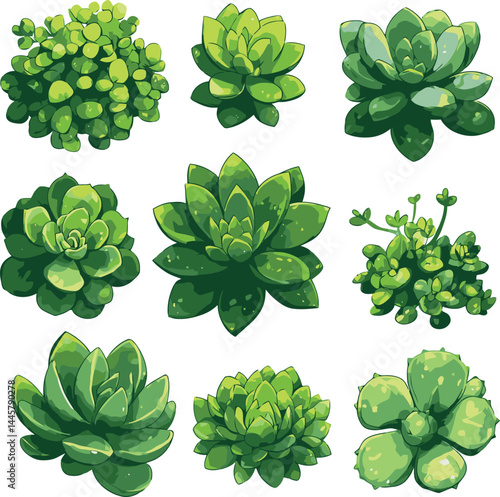 Collection of detailed cartoon succulents showcasing various shapes and designs in vibrant green shades