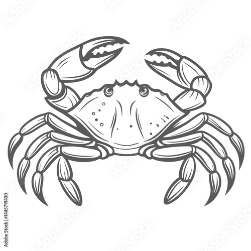 Elegant Blue Crab Line Art Illustration