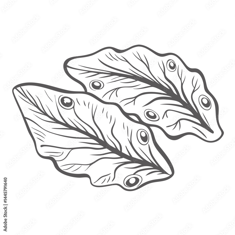 Marine Flatworm Outline Illustration, Sea Creature