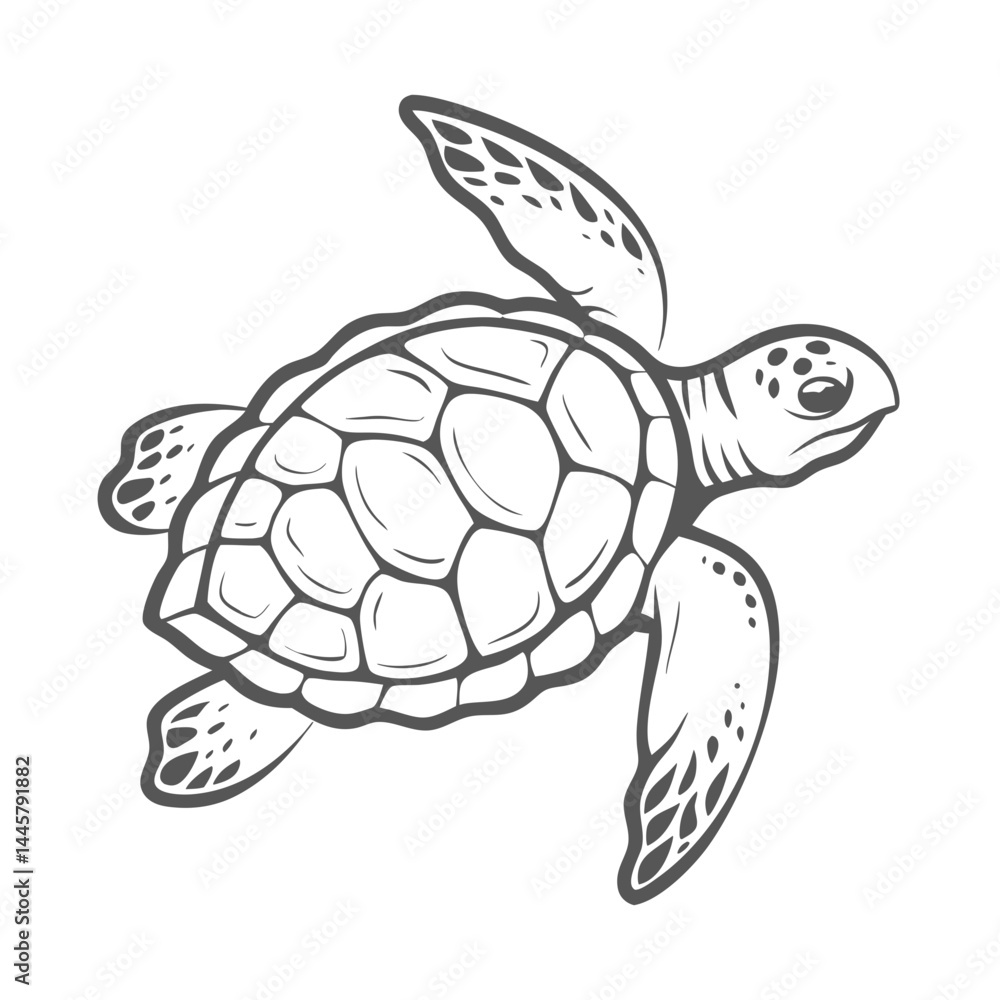 Fototapeta premium Kemp's Ridley Sea Turtle Line Art Illustration