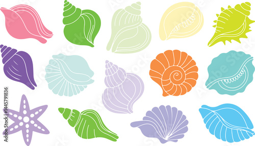 Colorful flat seashell illustrations in pastel tones vector illustration