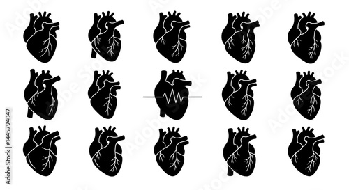 Anatomy heart vector illustration medical diagram human organ cardiovascular system healthcare concept design

