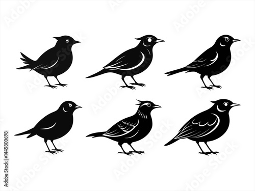 larks bird sihouette black vector bundle