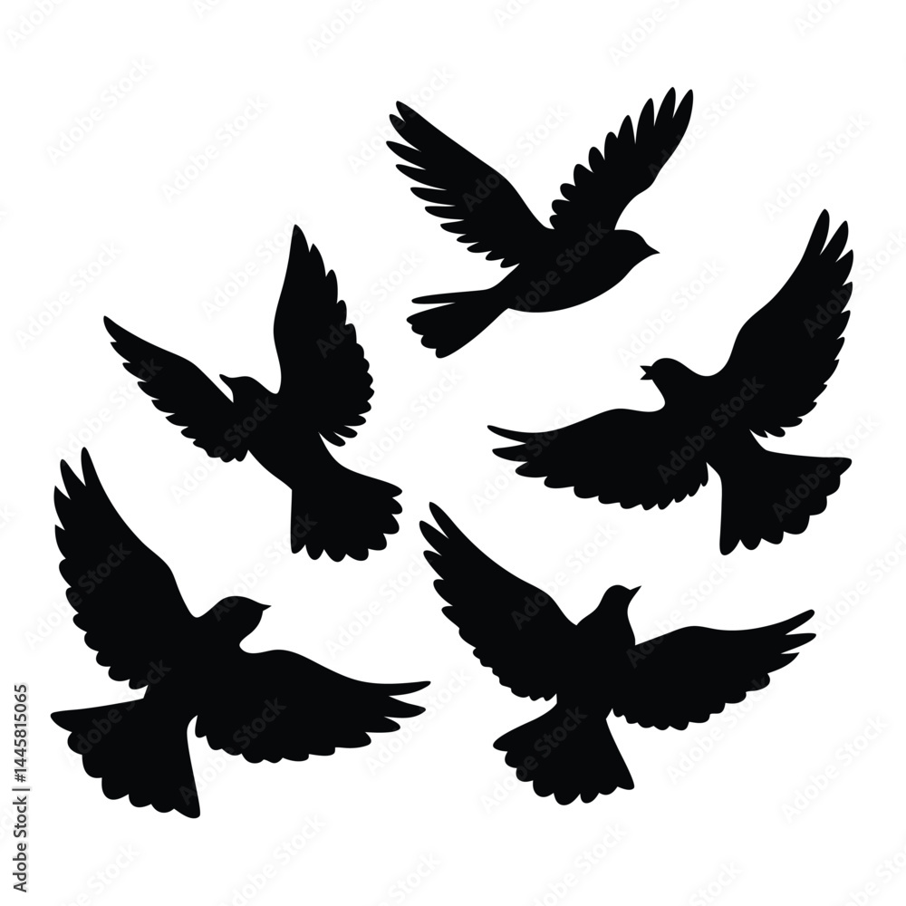 silhouette of bird silhouette of bird