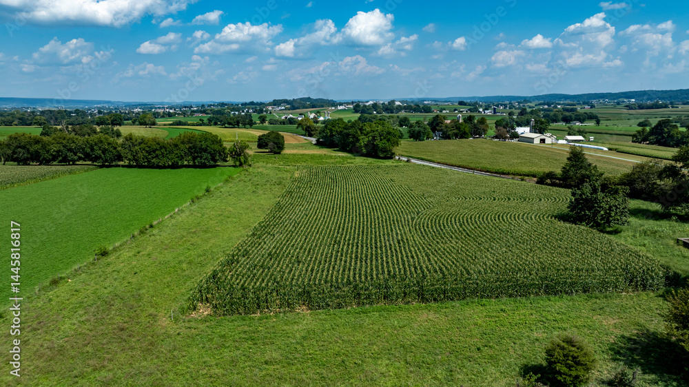 Vast fields spread across the landscape with a mix of crops and grass. A clear blue sky complements the picturesque rural environment, creating a tranquil farming scene. Vast fields spread across the landscape with a mix of crops and grass. A clear blue sky complements the picturesque rural environment, creating a tranquil farming scene.
