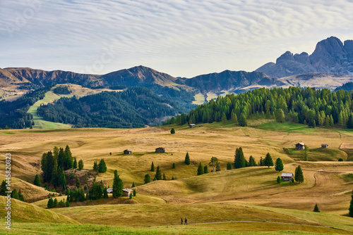 Alpe di Siusi Hike