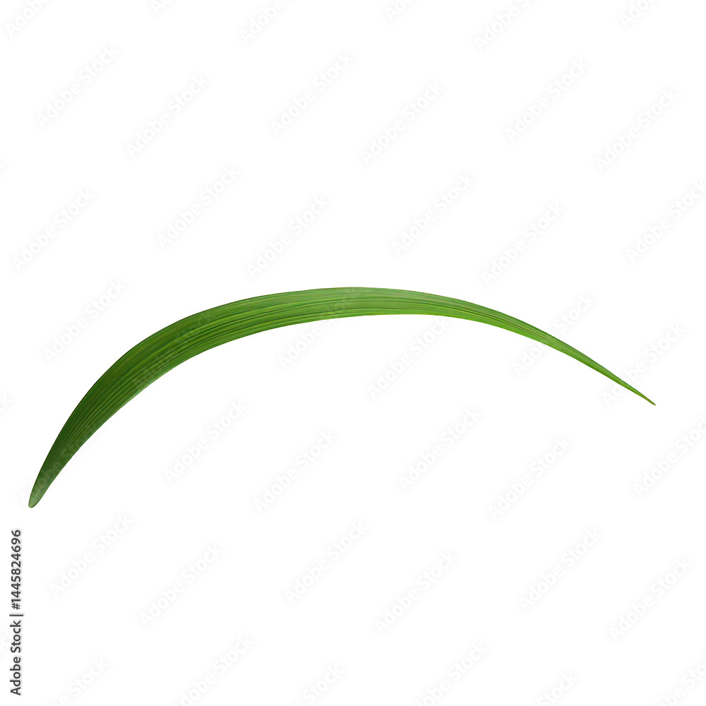 A vibrant green leaf arches gracefully, its elegant curve capturing the essence of natural simplicity and organic beauty. A vibrant green leaf arches gracefully, its elegant curve capturing the essence of natural simplicity and organic beauty.